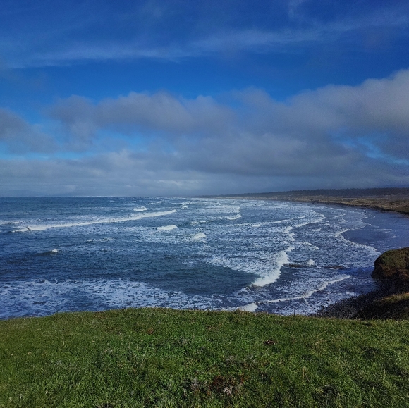 Meet your Posher, Scott - Picture 3 of 3